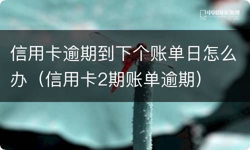 信用卡逾期到下个账单日怎么办（信用卡2期账单逾期）