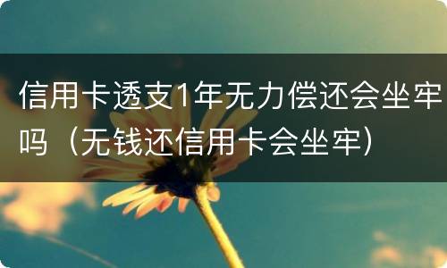 信用卡透支1年无力偿还会坐牢吗（无钱还信用卡会坐牢）
