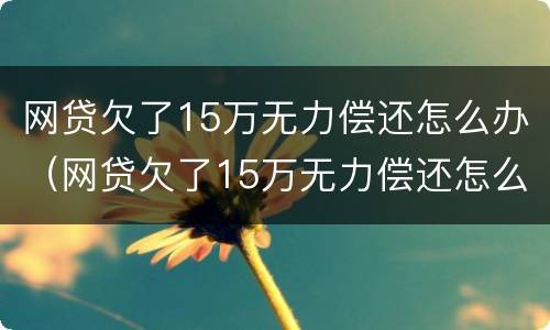 网贷欠了15万无力偿还怎么办（网贷欠了15万无力偿还怎么办理）