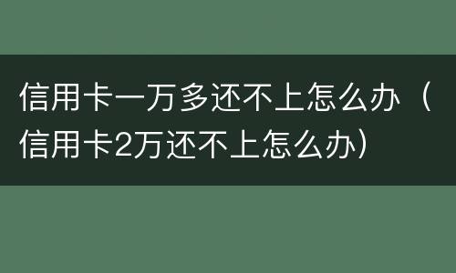信用卡一万多还不上怎么办（信用卡2万还不上怎么办）