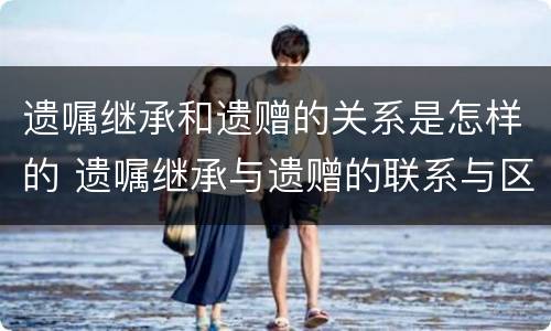 遗嘱继承和遗赠的关系是怎样的 遗嘱继承与遗赠的联系与区别有哪些