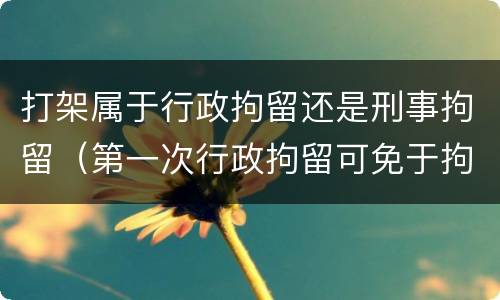 打架属于行政拘留还是刑事拘留（第一次行政拘留可免于拘留）