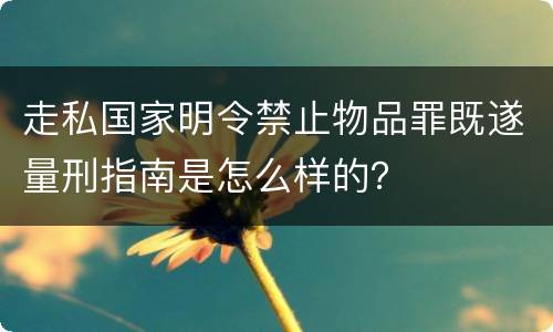 走私国家明令禁止物品罪既遂量刑指南是怎么样的？