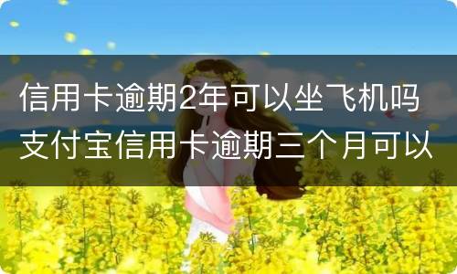 信用卡逾期2年可以坐飞机吗 支付宝信用卡逾期三个月可以坐飞机吗