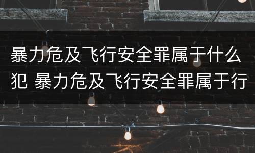 暴力危及飞行安全罪属于什么犯 暴力危及飞行安全罪属于行为犯