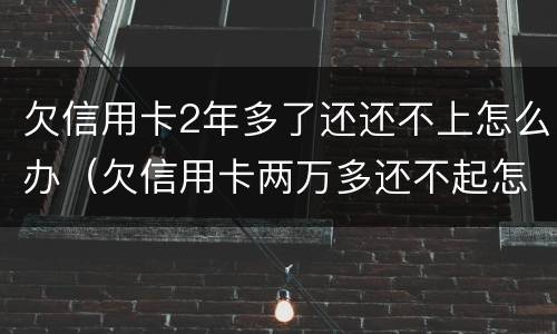 欠信用卡2年多了还还不上怎么办（欠信用卡两万多还不起怎么办）