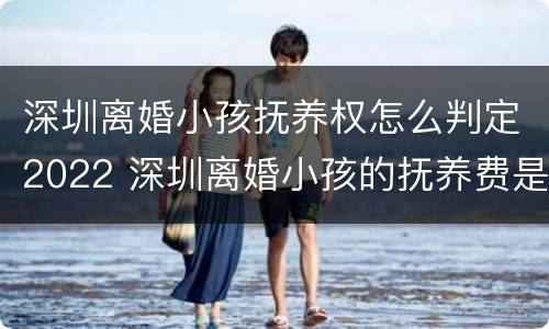 深圳离婚小孩抚养权怎么判定2022 深圳离婚小孩的抚养费是多少