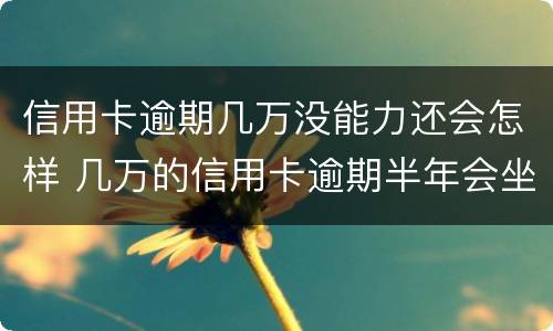 信用卡逾期几万没能力还会怎样 几万的信用卡逾期半年会坐牢吗?