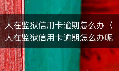 人在监狱信用卡逾期怎么办（人在监狱信用卡逾期怎么办呢）