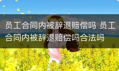 员工合同内被辞退赔偿吗 员工合同内被辞退赔偿吗合法吗