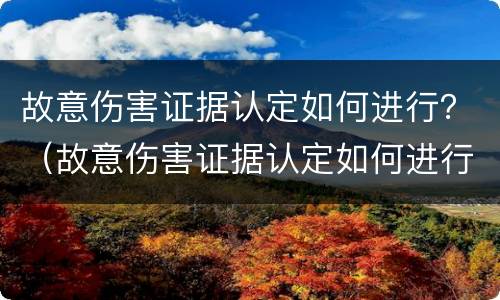 故意伤害证据认定如何进行？（故意伤害证据认定如何进行的）