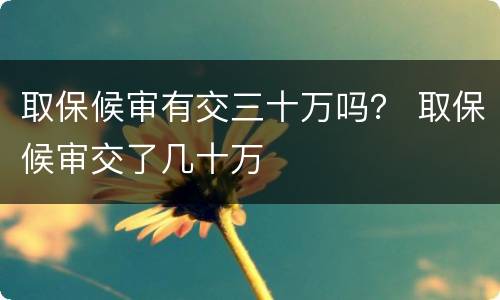 取保候审有交三十万吗？ 取保候审交了几十万