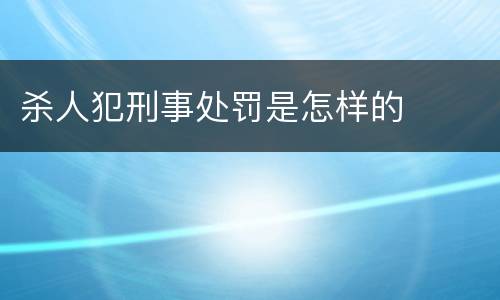 杀人犯刑事处罚是怎样的