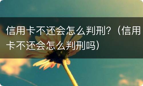 信用卡不还会怎么判刑?（信用卡不还会怎么判刑吗）