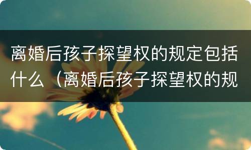 离婚后孩子探望权的规定包括什么（离婚后孩子探望权的规定包括什么内容）
