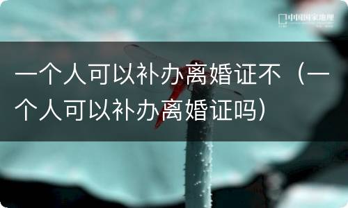 一个人可以补办离婚证不（一个人可以补办离婚证吗）