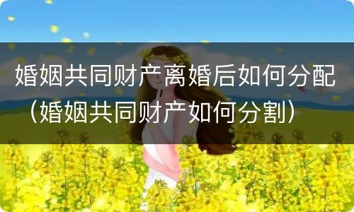 婚姻共同财产离婚后如何分配（婚姻共同财产如何分割）