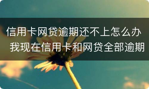 信用卡网贷逾期还不上怎么办 我现在信用卡和网贷全部逾期还不起了怎么办