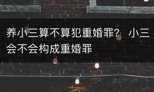 养小三算不算犯重婚罪？ 小三会不会构成重婚罪