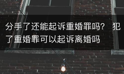 分手了还能起诉重婚罪吗？ 犯了重婚罪可以起诉离婚吗