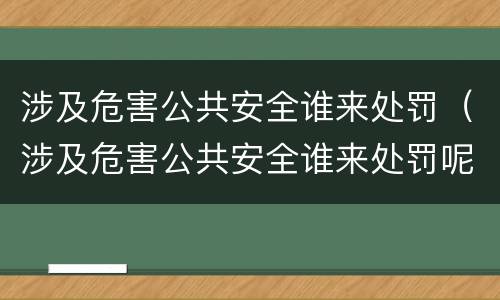 涉及危害公共安全谁来处罚（涉及危害公共安全谁来处罚呢）