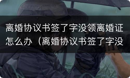 离婚协议书签了字没领离婚证怎么办（离婚协议书签了字没领离婚证怎么办理）