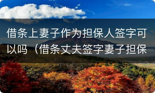 借条上妻子作为担保人签字可以吗（借条丈夫签字妻子担保）