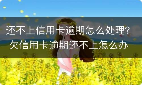 还不上信用卡逾期怎么处理？ 欠信用卡逾期还不上怎么办