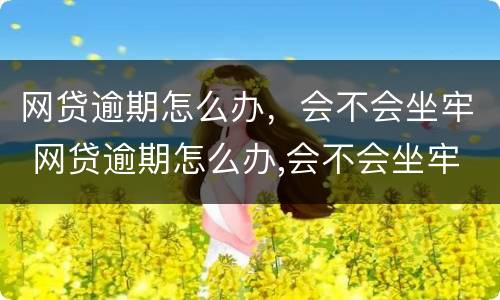 网贷逾期怎么办，会不会坐牢 网贷逾期怎么办,会不会坐牢呀