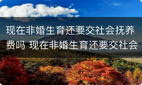现在非婚生育还要交社会抚养费吗 现在非婚生育还要交社会抚养费吗