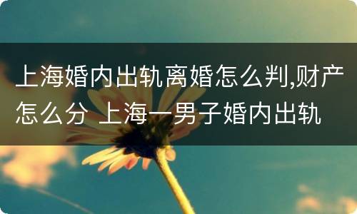 上海婚内出轨离婚怎么判,财产怎么分 上海一男子婚内出轨