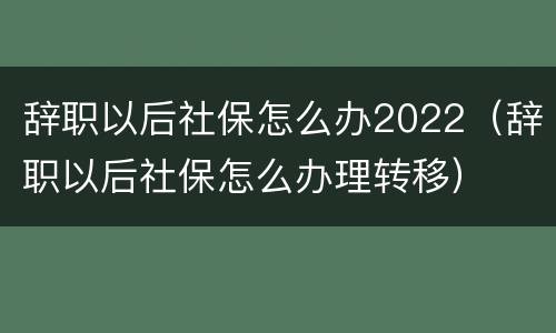 辞职以后社保怎么办2022（辞职以后社保怎么办理转移）