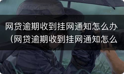 网贷逾期收到挂网通知怎么办（网贷逾期收到挂网通知怎么办理）
