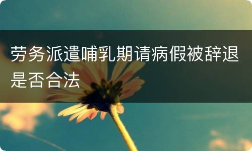 劳务派遣哺乳期请病假被辞退是否合法