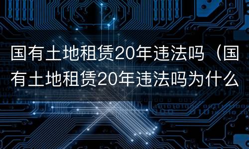国有土地租赁20年违法吗（国有土地租赁20年违法吗为什么）