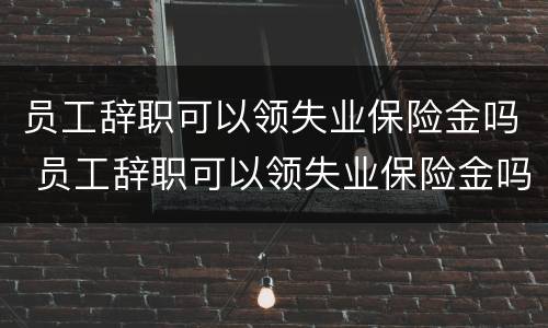 员工辞职可以领失业保险金吗 员工辞职可以领失业保险金吗怎么领
