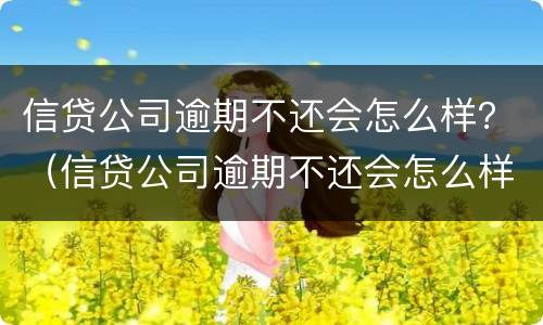 信贷公司逾期不还会怎么样？（信贷公司逾期不还会怎么样处理）