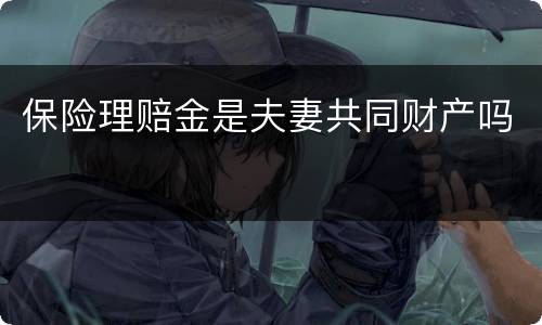 保险理赔金是夫妻共同财产吗