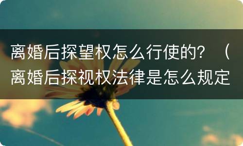 离婚后探望权怎么行使的？（离婚后探视权法律是怎么规定的）