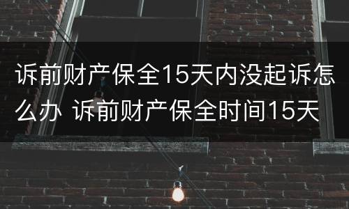 诉前财产保全15天内没起诉怎么办 诉前财产保全时间15天