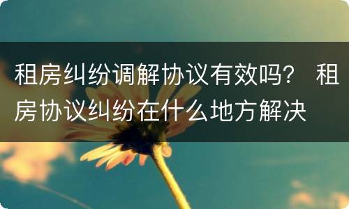 租房纠纷调解协议有效吗？ 租房协议纠纷在什么地方解决