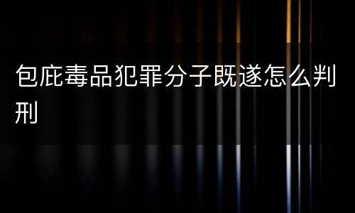包庇毒品犯罪分子既遂怎么判刑