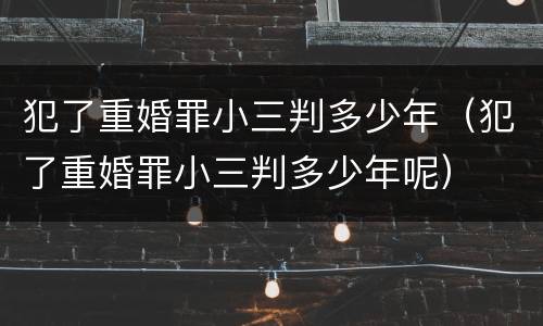 犯了重婚罪小三判多少年（犯了重婚罪小三判多少年呢）