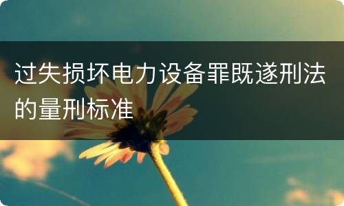 过失损坏电力设备罪既遂刑法的量刑标准