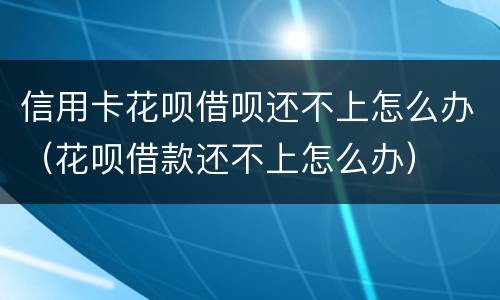 信用卡花呗借呗还不上怎么办（花呗借款还不上怎么办）