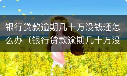 银行贷款逾期几十万没钱还怎么办（银行贷款逾期几十万没钱还怎么办呢）