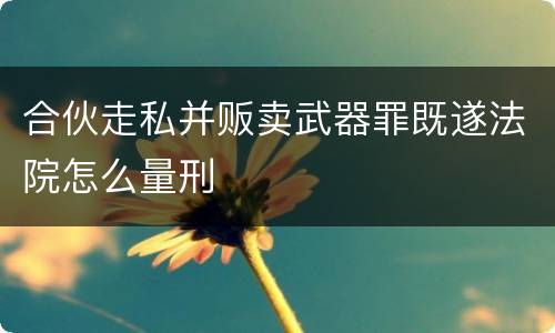 合伙走私并贩卖武器罪既遂法院怎么量刑