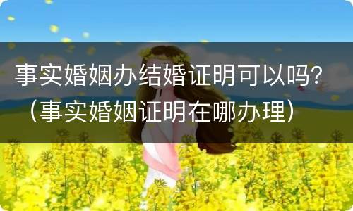 事实婚姻办结婚证明可以吗？（事实婚姻证明在哪办理）