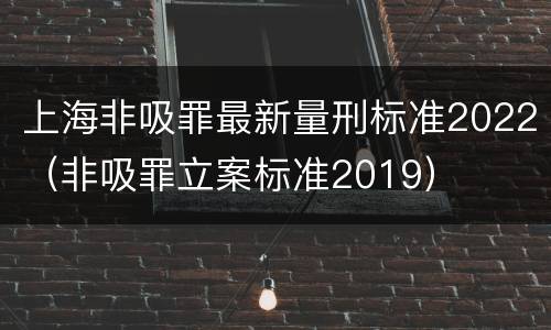 上海非吸罪最新量刑标准2022（非吸罪立案标准2019）