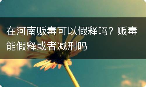 在河南贩毒可以假释吗? 贩毒能假释或者减刑吗